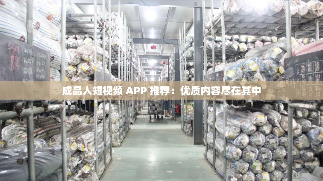 成品人短视频 APP 推荐：优质内容尽在其中