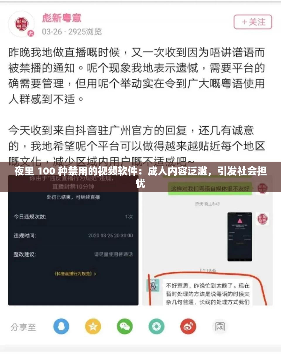 夜里 100 种禁用的视频软件：成人内容泛滥，引发社会担忧