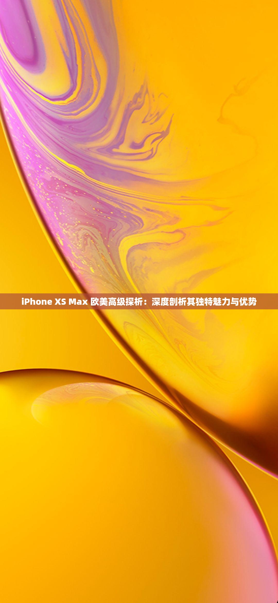 iPhone XS Max 欧美高级探析：深度剖析其独特魅力与优势