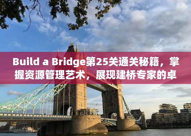 Build a Bridge第25关通关秘籍，掌握资源管理艺术，展现建桥专家的卓越智慧