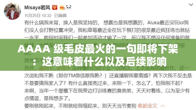AAAA 级毛皮最火的一句即将下架：这意味着什么以及后续影响