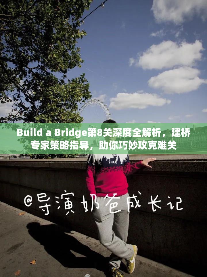 Build a Bridge第8关深度全解析，建桥专家策略指导，助你巧妙攻克难关