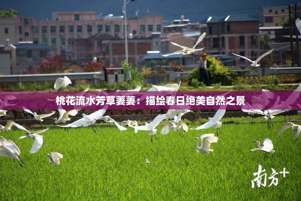 桃花流水芳草萋萋：描绘春日绝美自然之景