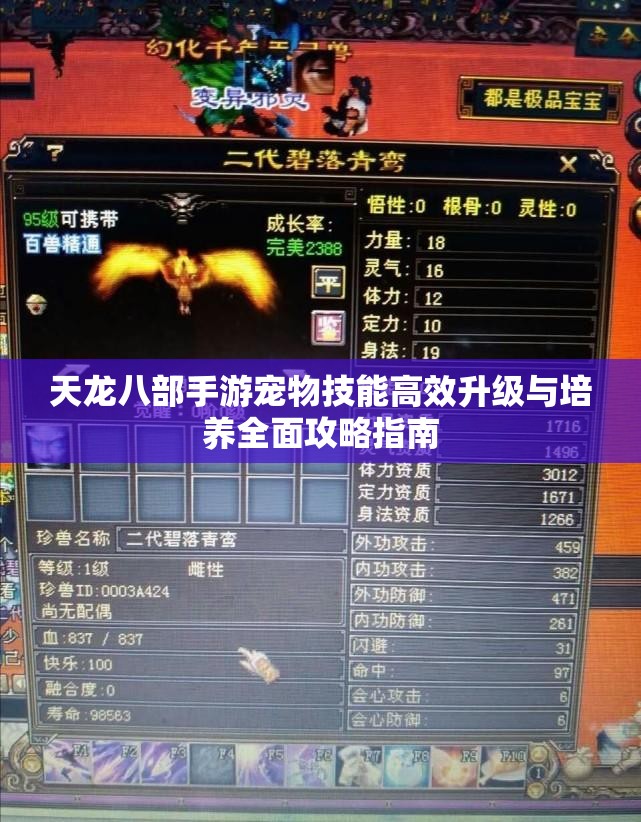 天龙八部手游宠物技能高效升级与培养全面攻略指南
