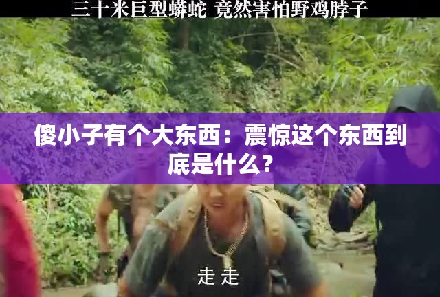 傻小子有个大东西：震惊这个东西到底是什么？