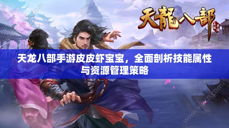 天龙八部手游皮皮虾宝宝，全面剖析技能属性与资源管理策略