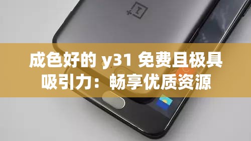 成色好的 y31 免费且极具吸引力：畅享优质资源