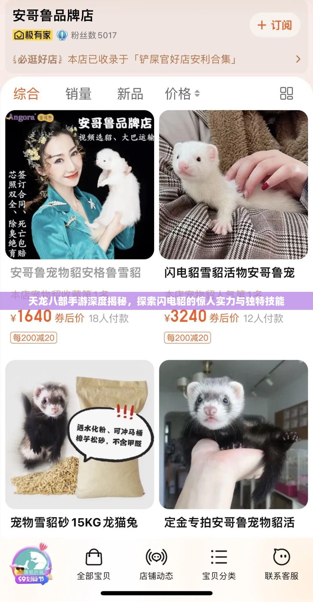 天龙八部手游深度揭秘，探索闪电貂的惊人实力与独特技能