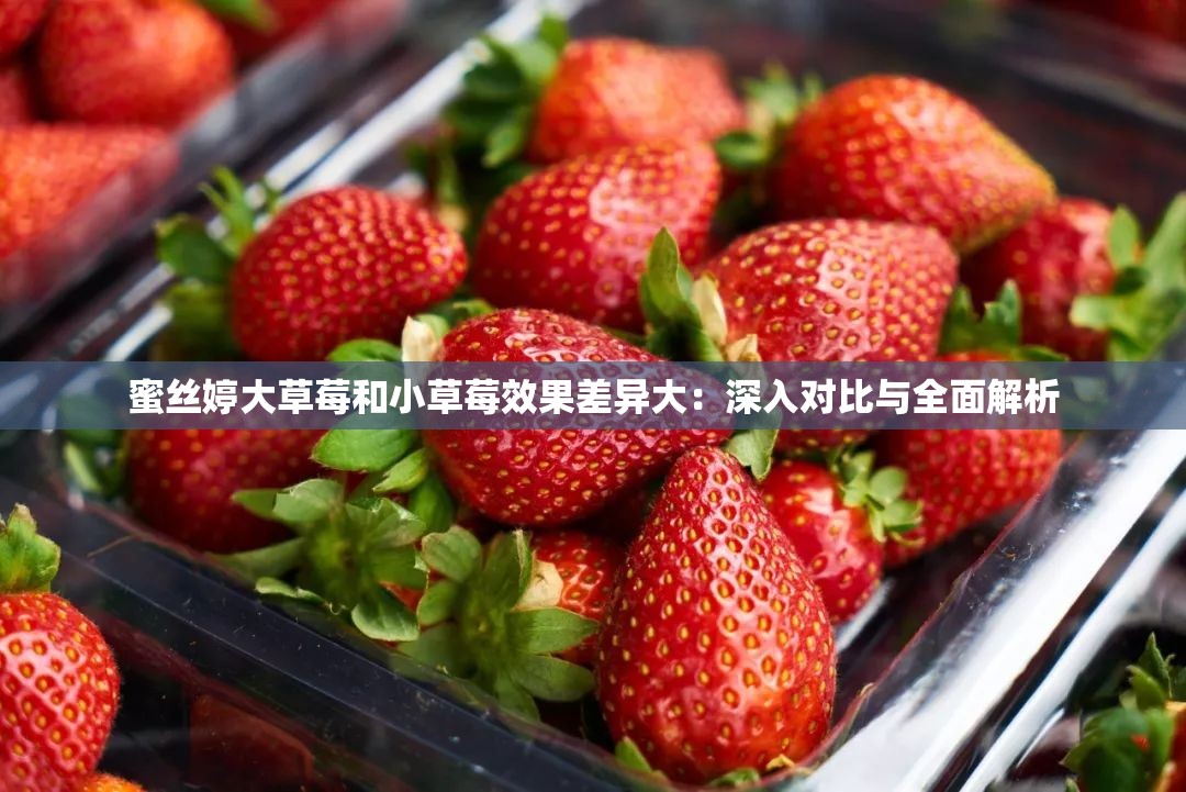 蜜丝婷大草莓和小草莓效果差异大：深入对比与全面解析