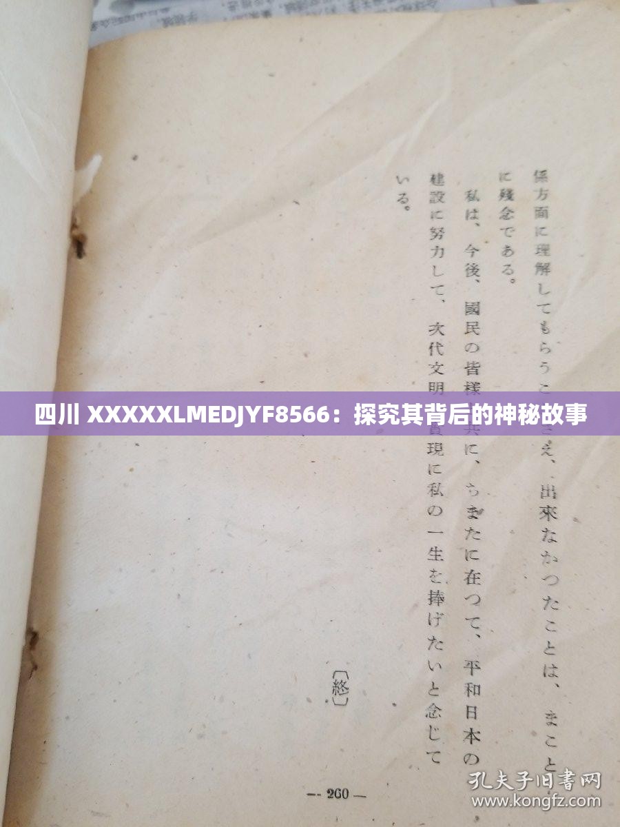 四川 XXXXXLMEDJYF8566：探究其背后的神秘故事