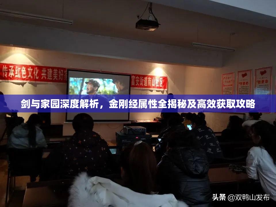 剑与家园深度解析，金刚经属性全揭秘及高效获取攻略