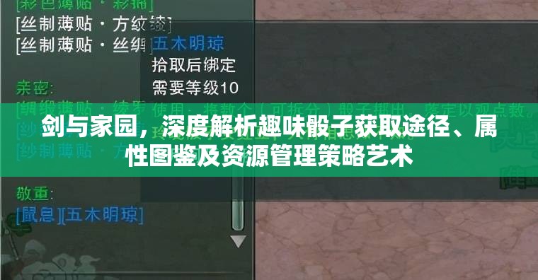 剑与家园，深度解析趣味骰子获取途径、属性图鉴及资源管理策略艺术