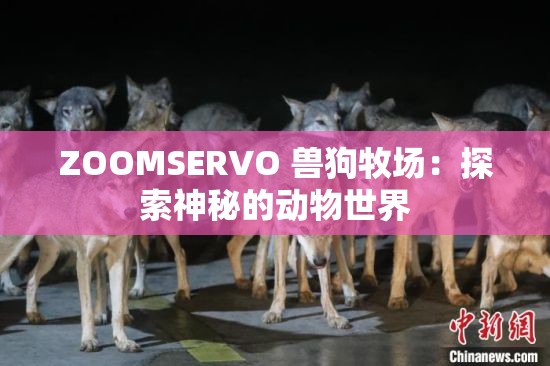 ZOOMSERVO 兽狗牧场：探索神秘的动物世界