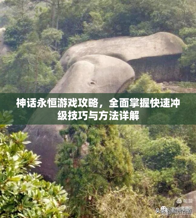 神话永恒游戏攻略，全面掌握快速冲级技巧与方法详解