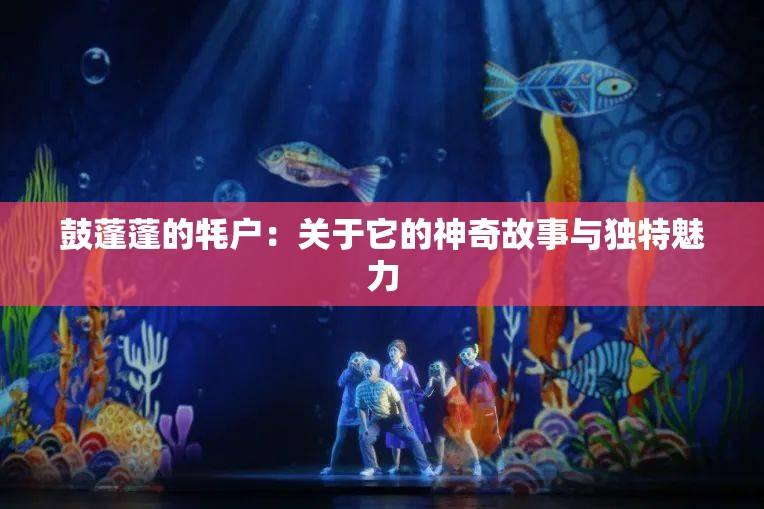 鼓蓬蓬的牦户：关于它的神奇故事与独特魅力