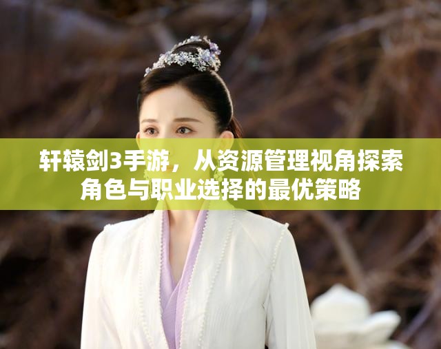 轩辕剑3手游，从资源管理视角探索角色与职业选择的最优策略