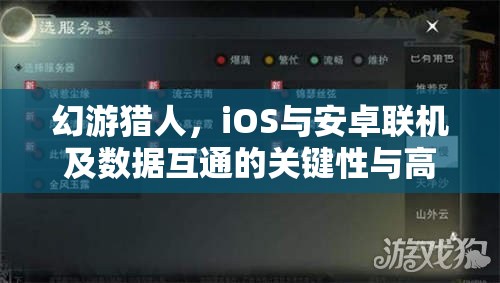 幻游猎人，iOS与安卓联机及数据互通的关键性与高效管理技巧解析