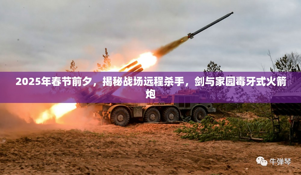 2025年春节前夕，揭秘战场远程杀手，剑与家园毒牙式火箭炮