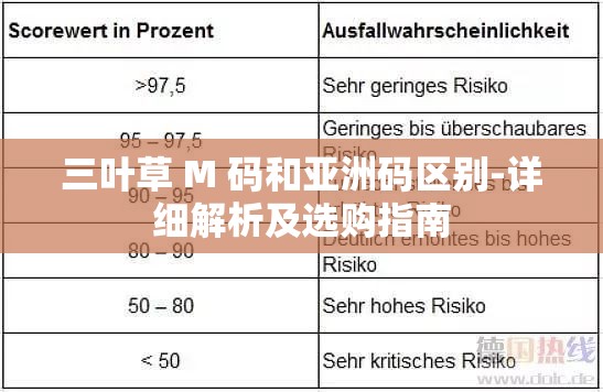 三叶草 M 码和亚洲码区别-详细解析及选购指南