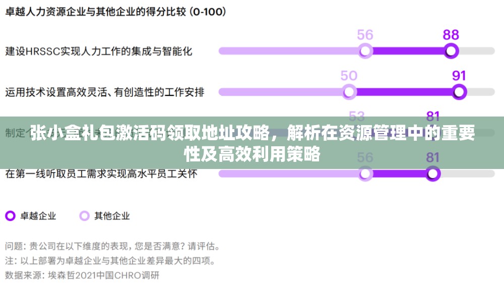 张小盒礼包激活码领取地址攻略，解析在资源管理中的重要性及高效利用策略