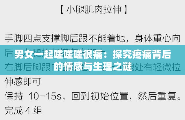 男女一起嗟嗟嗟很痛：探究疼痛背后的情感与生理之谜