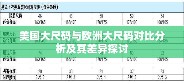 美国大尺码与欧洲大尺码对比分析及其差异探讨
