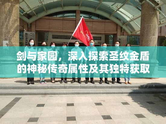 剑与家园，深入探索圣纹金盾的神秘传奇属性及其独特获取途径