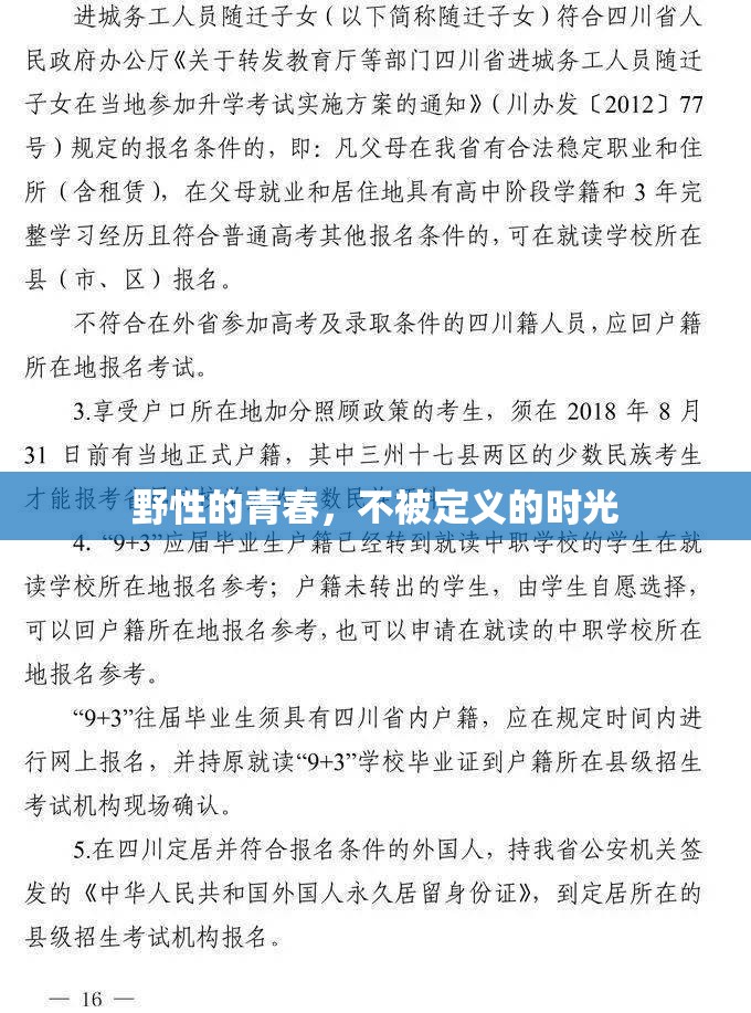 野性的青春，不被定义的时光