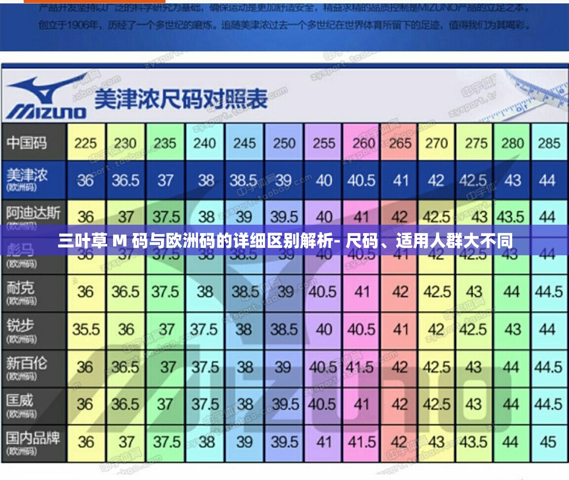 三叶草 M 码与欧洲码的详细区别解析- 尺码、适用人群大不同