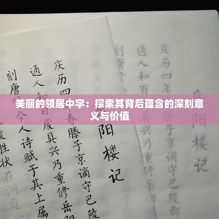 美丽的领居中字：探索其背后蕴含的深刻意义与价值
