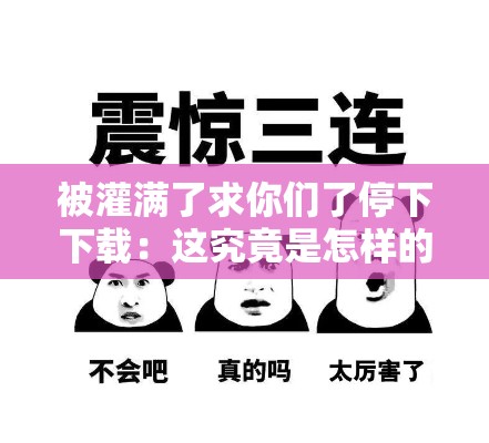 被灌满了求你们了停下下载：这究竟是怎样的绝望呼喊