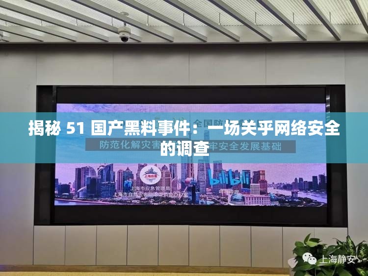 揭秘 51 国产黑料事件：一场关乎网络安全的调查