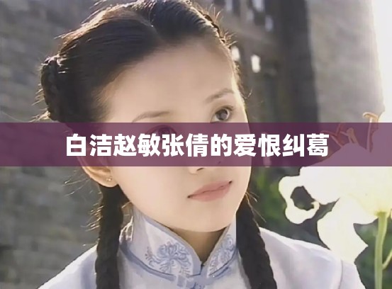 白洁赵敏张倩的爱恨纠葛