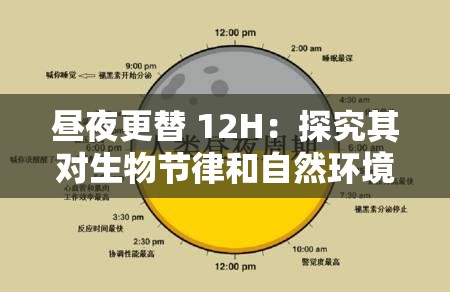 昼夜更替 12H：探究其对生物节律和自然环境的影响