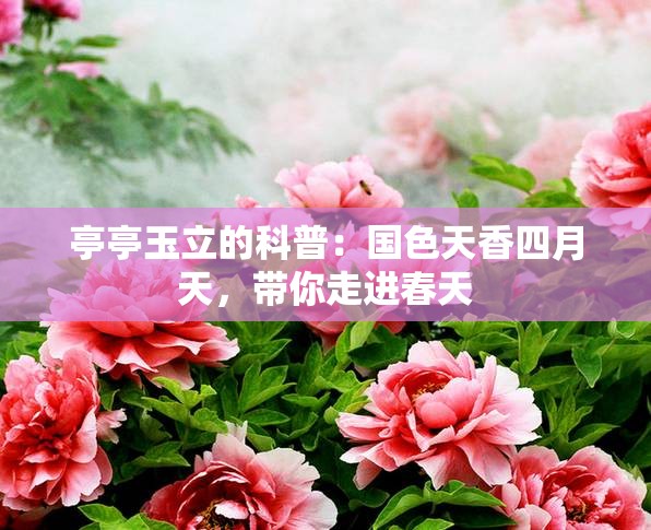 亭亭玉立的科普：国色天香四月天，带你走进春天