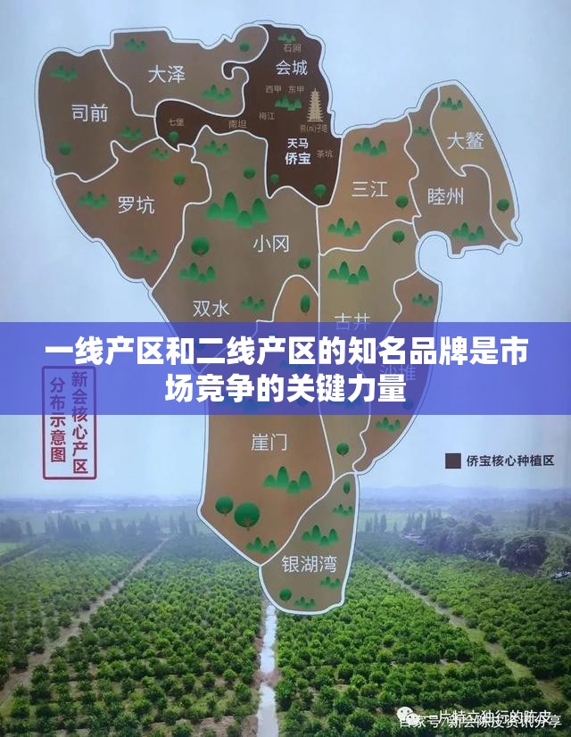 一线产区和二线产区的知名品牌是市场竞争的关键力量
