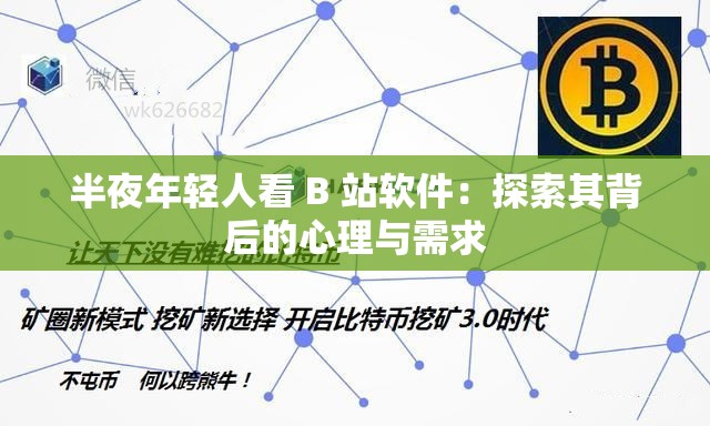 半夜年轻人看 B 站软件：探索其背后的心理与需求