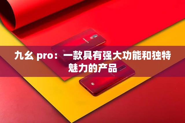 九幺 pro：一款具有强大功能和独特魅力的产品