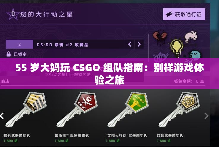 55 岁大妈玩 CSGO 组队指南：别样游戏体验之旅