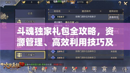 斗魂独家礼包全攻略，资源管理、高效利用技巧及最大化价值兑换指南