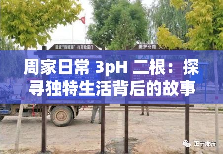 周家日常 3pH 二根：探寻独特生活背后的故事与情感