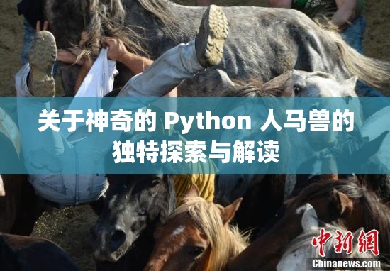 关于神奇的 Python 人马兽的独特探索与解读