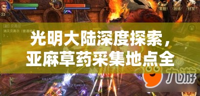 光明大陆深度探索，亚麻草药采集地点全揭秘与秘籍指南