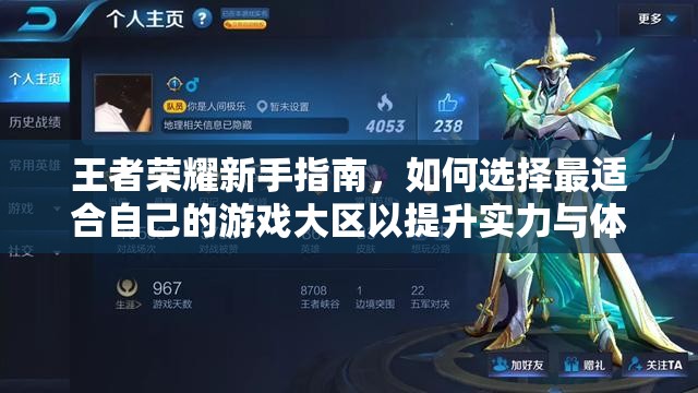 王者荣耀新手指南，如何选择最适合自己的游戏大区以提升实力与体验