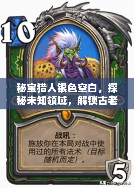 秘宝猎人银色空白，探秘未知领域，解锁古老传奇与神秘宝藏