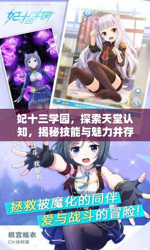 妃十三学园，探索天堂认知，揭秘技能与魅力并存的神秘少女传奇