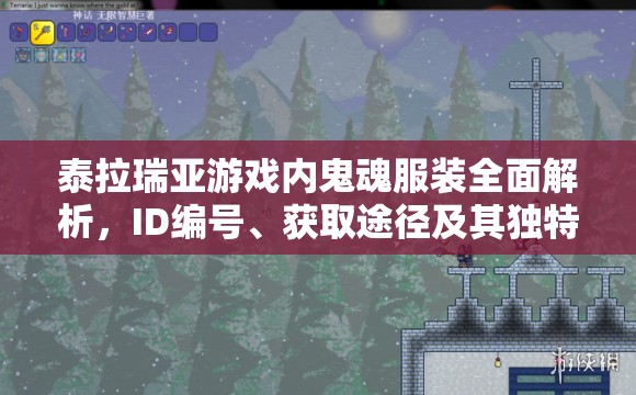 泰拉瑞亚游戏内鬼魂服装全面解析，ID编号、获取途径及其独特魅力展示