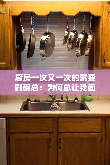 厨房一次又一次的索要刷碗总：为何总让我面对这无尽任务