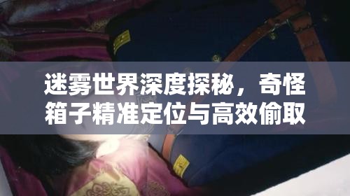 迷雾世界深度探秘，奇怪箱子精准定位与高效偷取全攻略