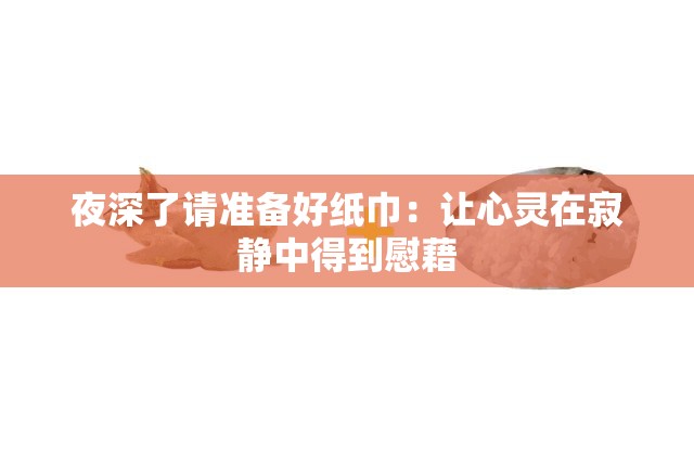 夜深了请准备好纸巾：让心灵在寂静中得到慰藉